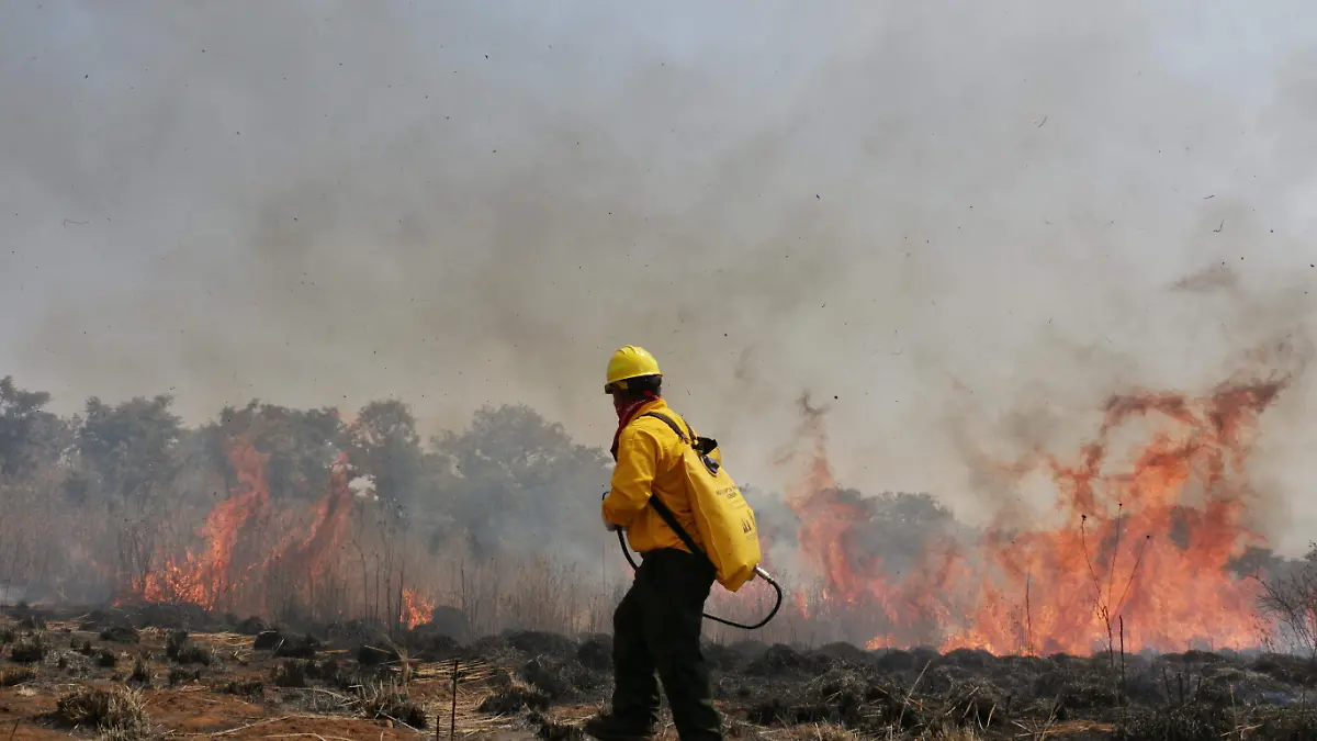 INCENDIO FORESTAL _ FMM (5)